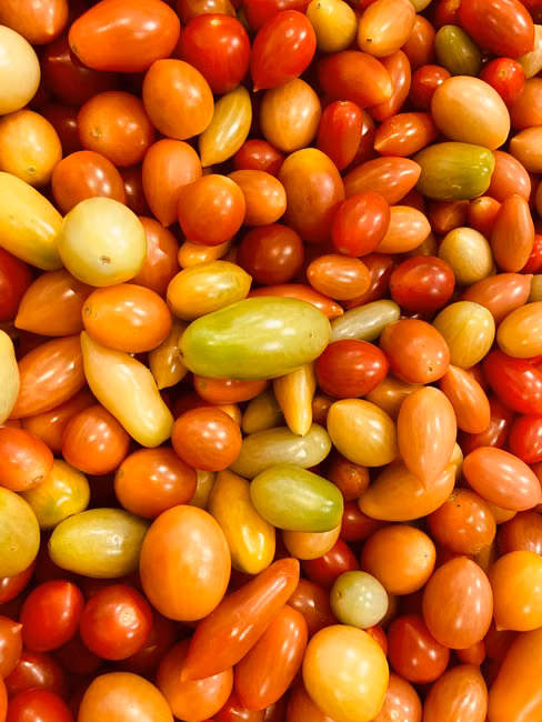 Tomate Italiano (kg)